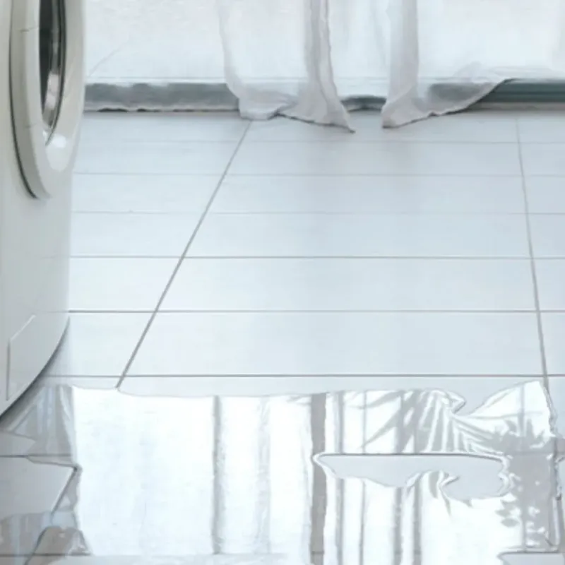 Appliance Leak Cleanup in Johnson County, GA