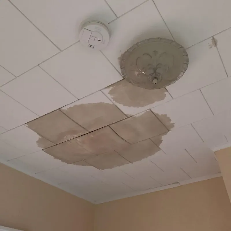 Ceiling Water Damage Repair in Johnson County, GA