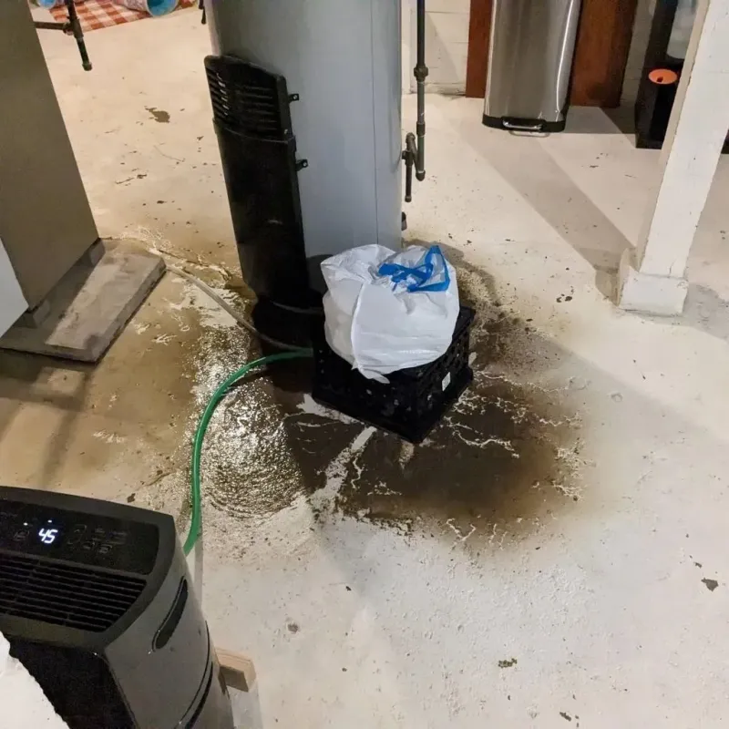 Sewage Backup Cleanup Service in Johnson County, GA